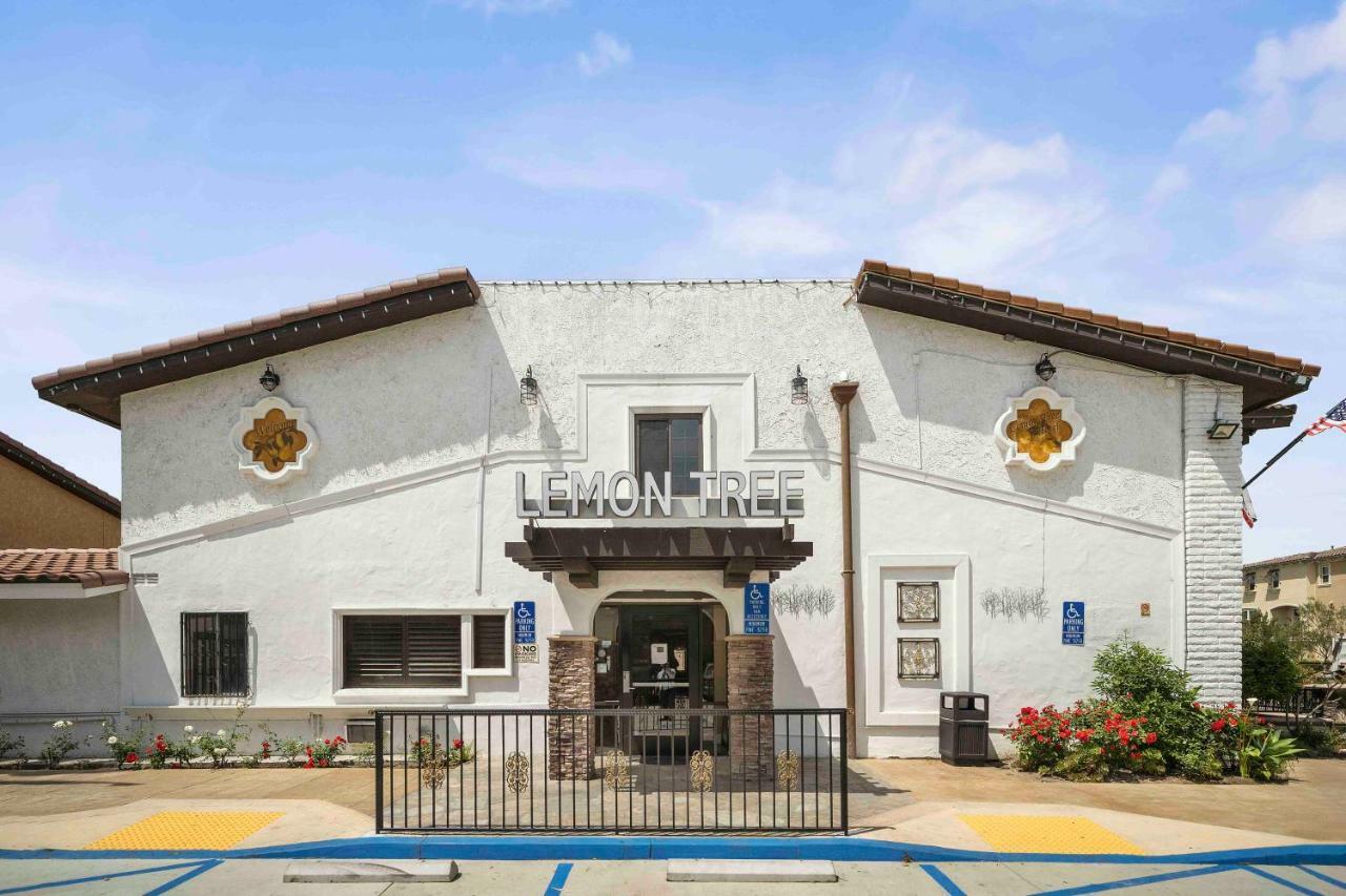The Lemon Tree Hotel Anaheim Bagian luar foto